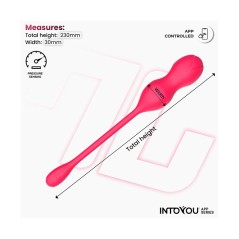 Kyra | Entrenador Pélvico con Sensor y APP – Intoyou