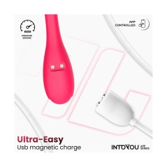 Kyra | Entrenador Pélvico con Sensor y APP – Intoyou