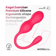 Kyra | Entrenador Pélvico con Sensor y APP – Intoyou