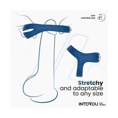 Anillo vibrador con app Rank azul | Juguetes sexuales para parejas