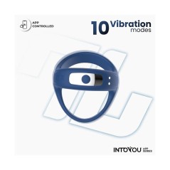 Anillo vibrador con app Rank azul | Juguetes sexuales para parejas