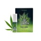 Aceite Oh Holy Mary | Pleasure Oil con Cannabis