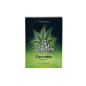 Aceite Oh Holy Mary | Pleasure Oil con Cannabis